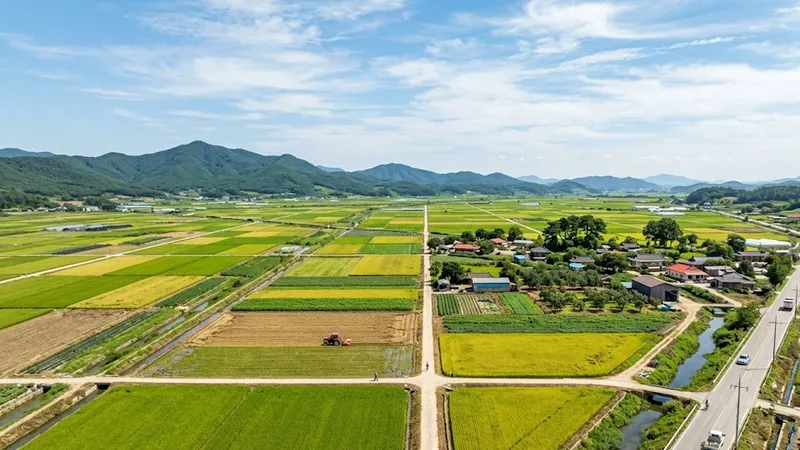 부동산행정