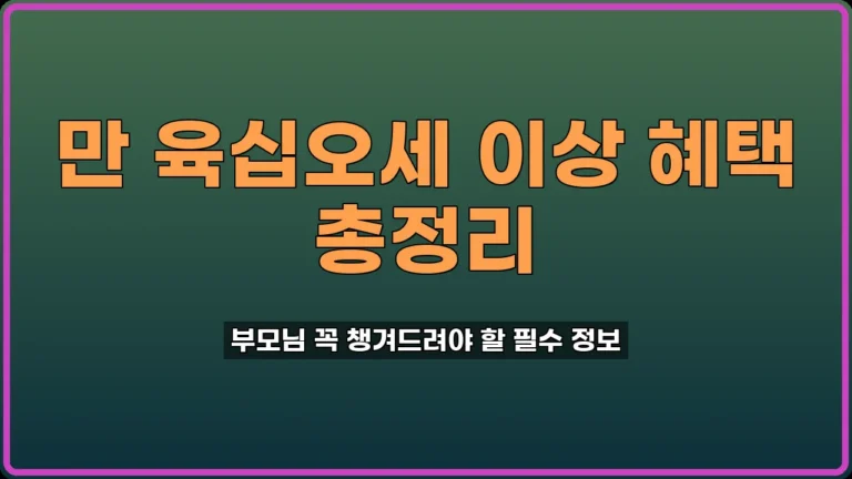 어르신교통카드