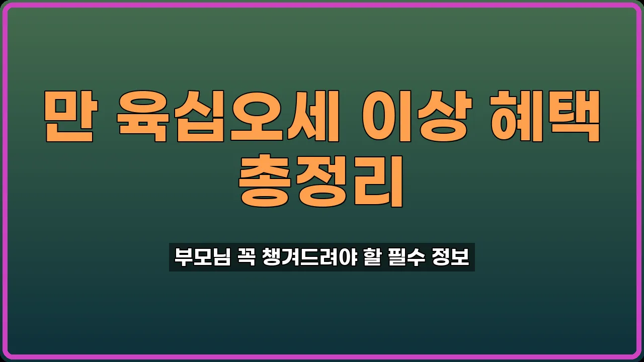 어르신교통카드