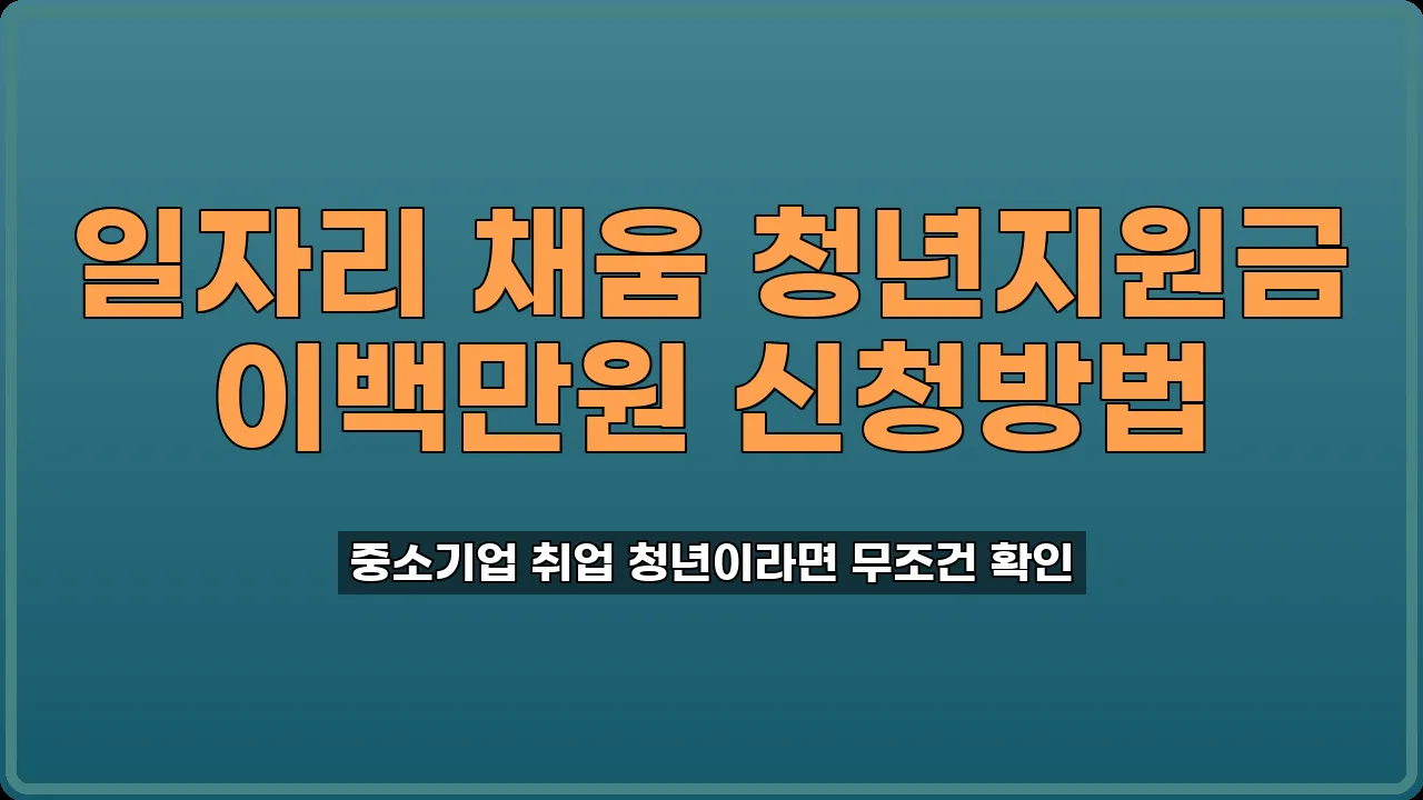 일자리채움청년지원금