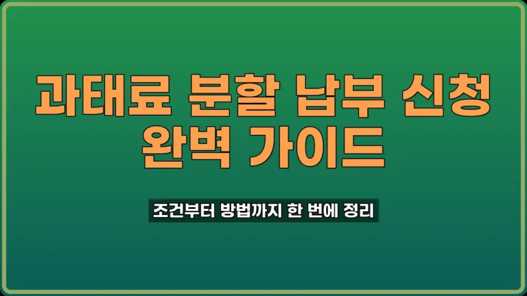 과태료분할납부