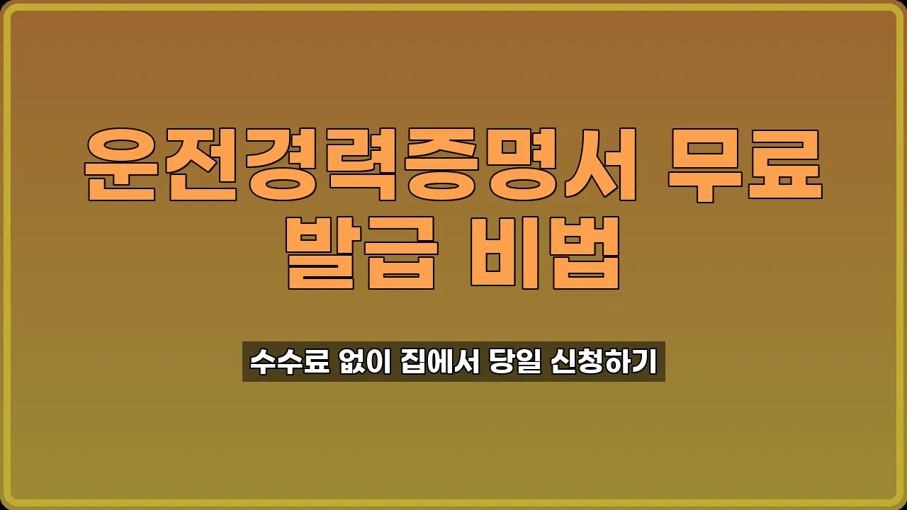 운전경력증명서 발급