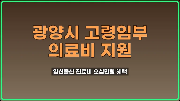 광양시 고령임부 의료비 지원