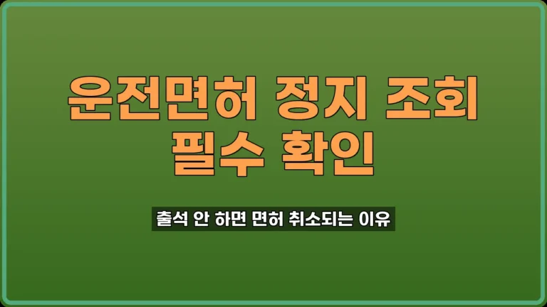 운전면허 정지 조회
