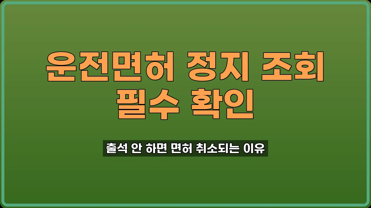 운전면허 정지 조회