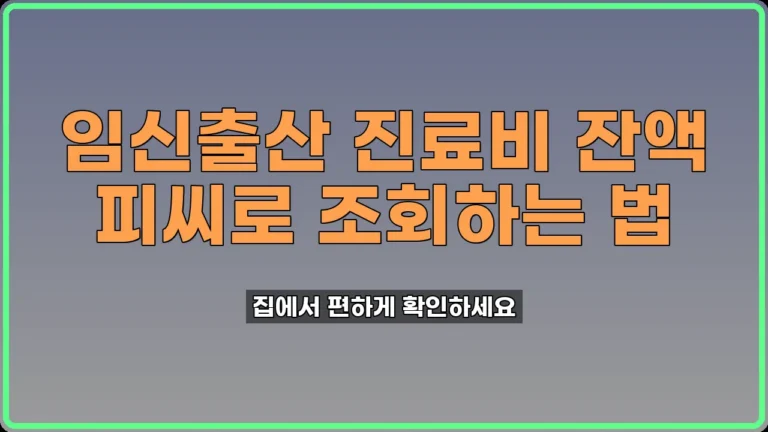 임신출산 진료비 잔액