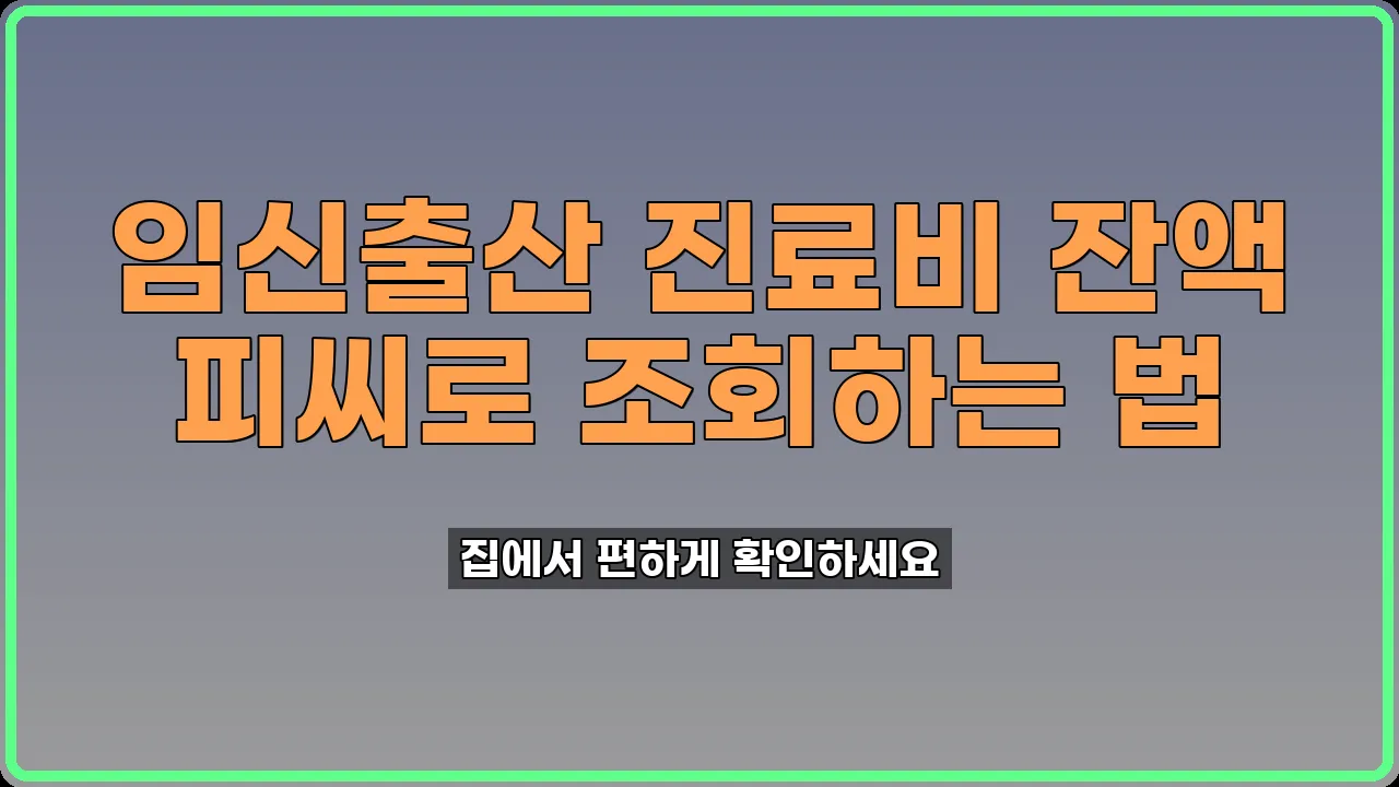 임신출산 진료비 잔액