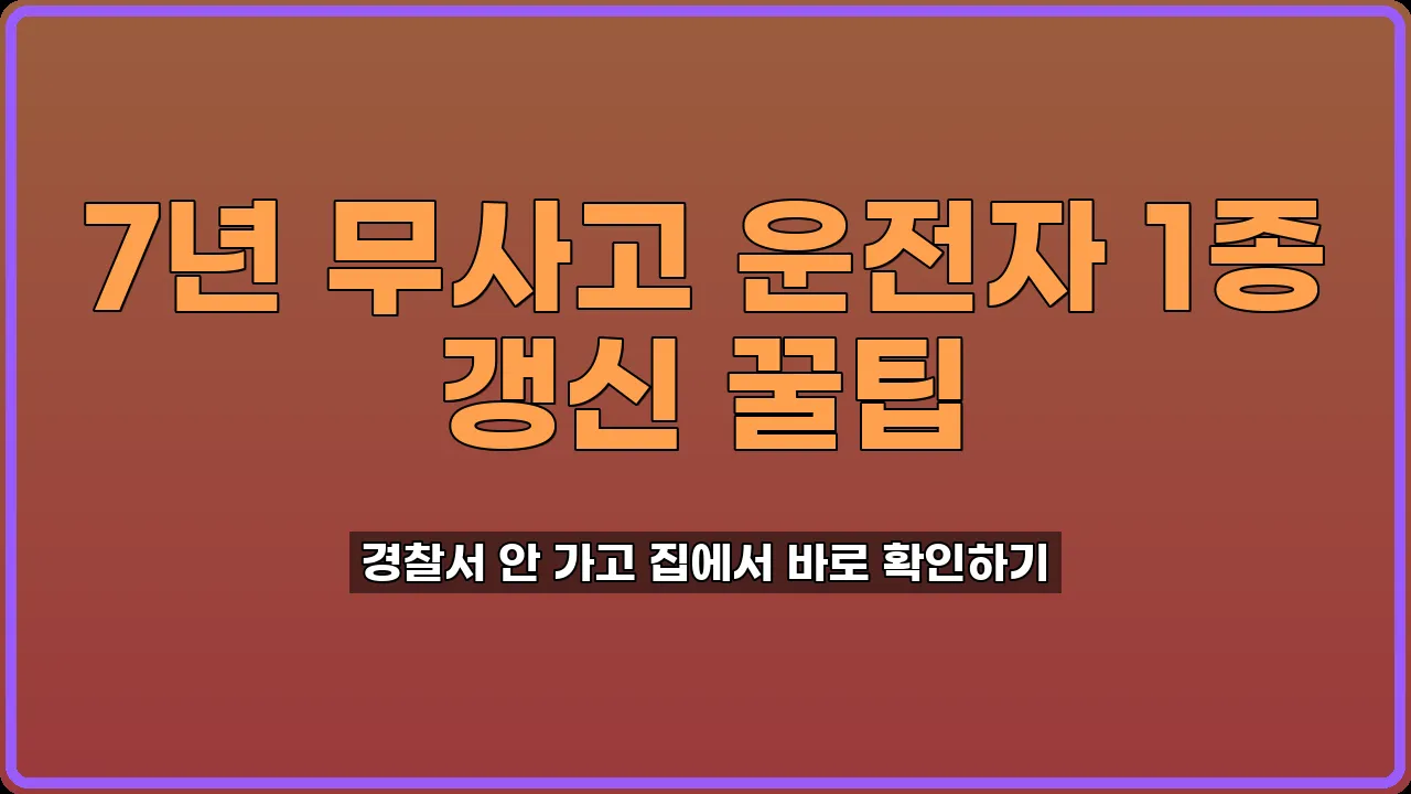 7년 무사고 조회