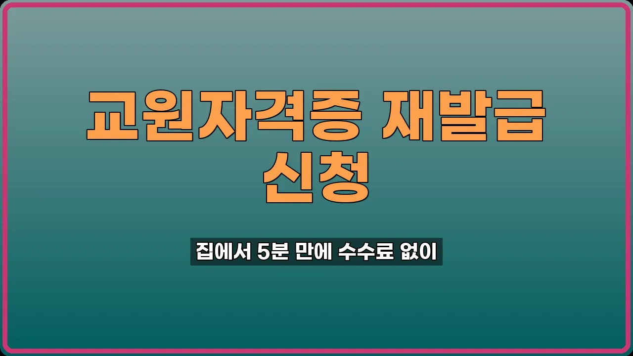 교원자격증 재발급