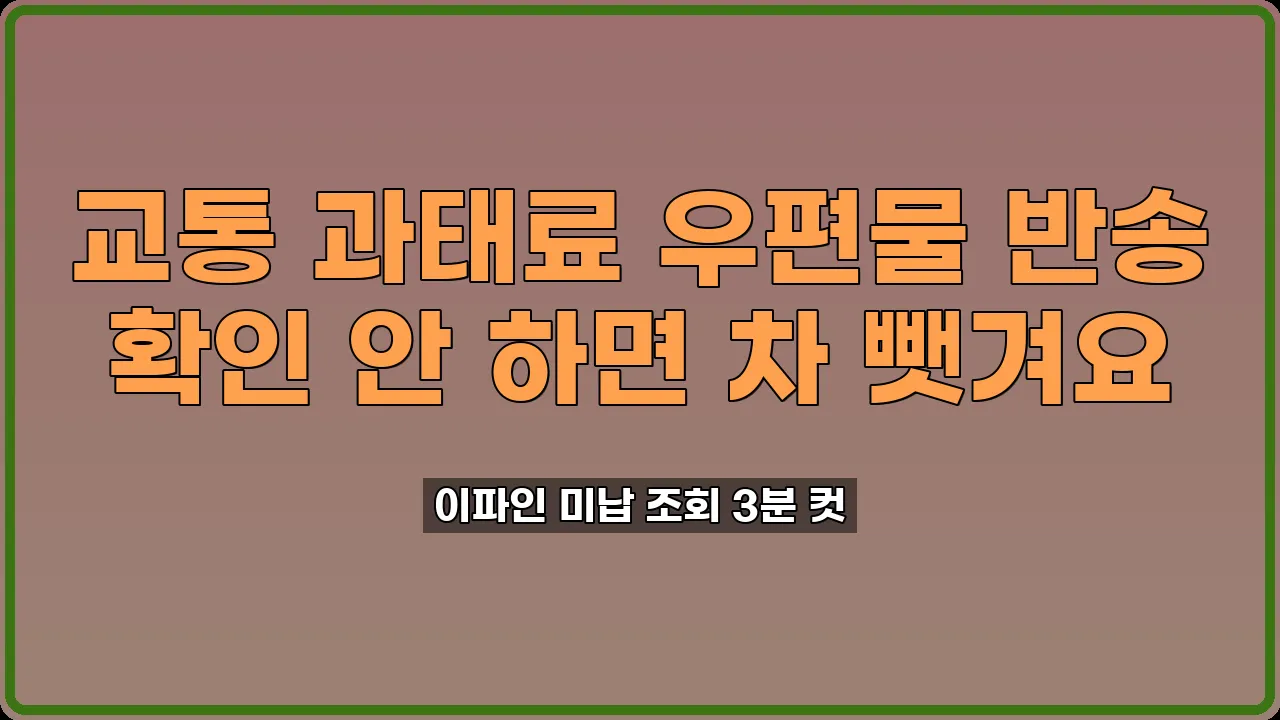 교통 과태료 고지서 반송