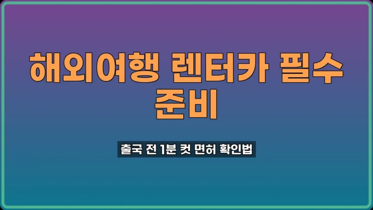 국제운전면허 조회