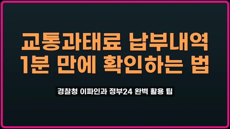 교통과태료 납부내역