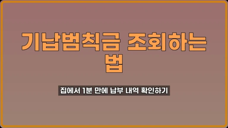 기납범칙금 조회