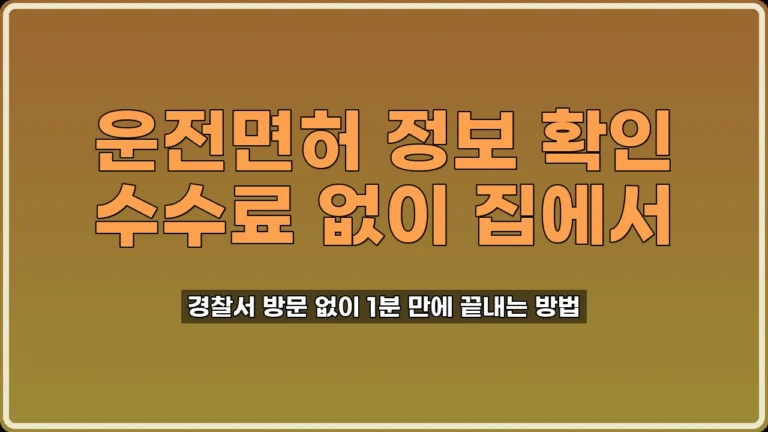 운전면허 정보 조회