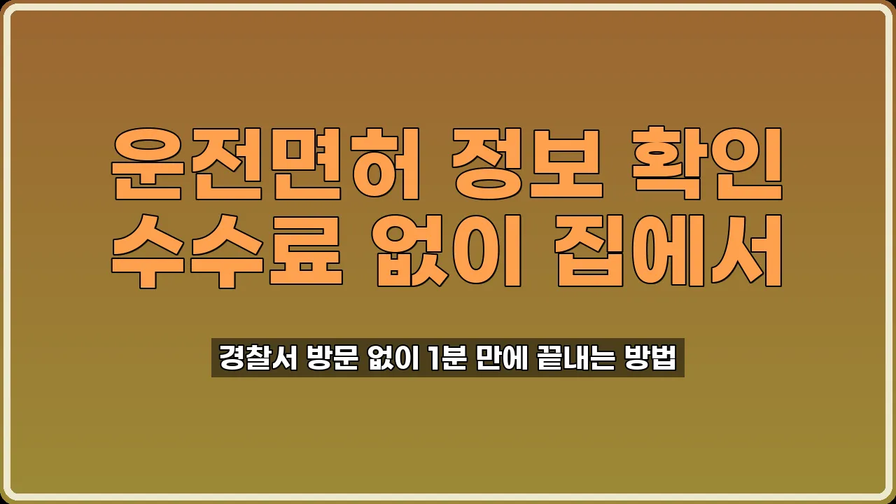 운전면허 정보 조회