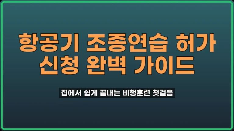 항공기 조종연습 허가 신청